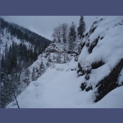 2013-02-02_Rappinschlucht_Lainlalm (094).jpg